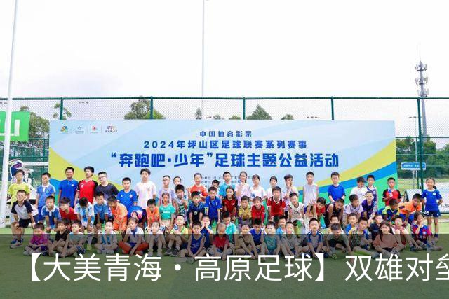 【大美青海·高原足球】双雄对垒 平分秋色 ——第三届“青超联赛”第八轮玉树主场见闻