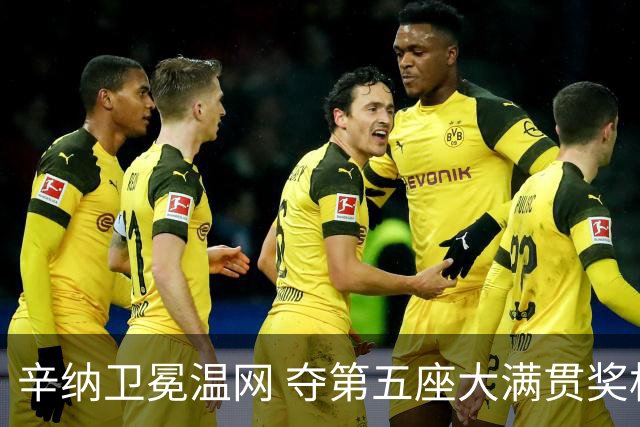 辛纳卫冕温网 夺第五座大满贯奖杯